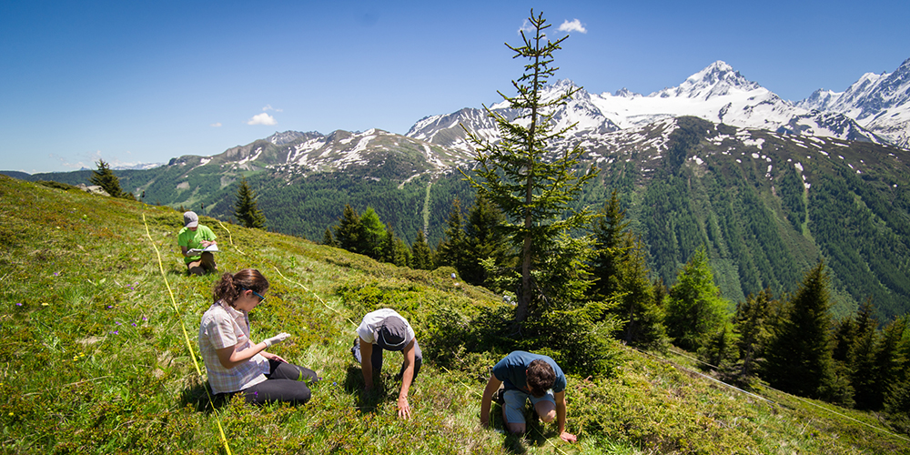 CREA Mont-Blanc - la science participativ