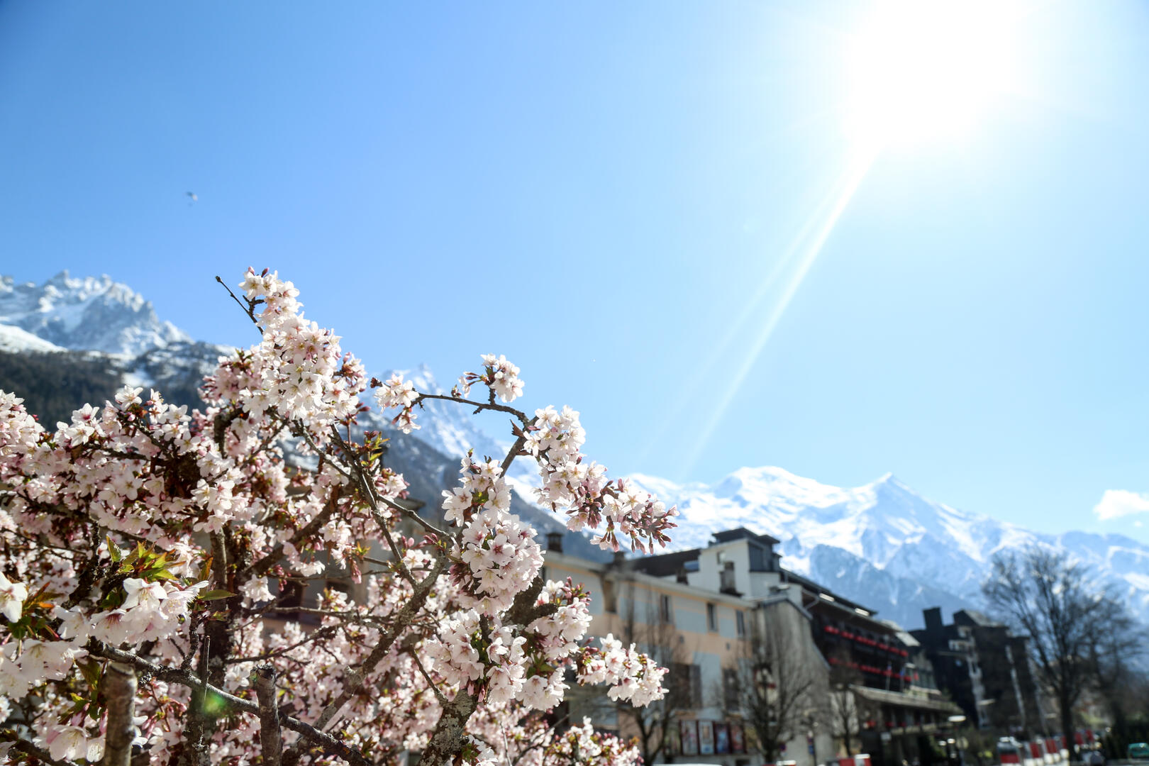 Spring in the Valley of Chamonix : Chamonix Mont Blanc