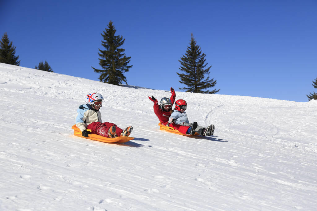 Sledging area of Bois du Bouchet (Chamonix) Chamonix-Mont-Blanc : Sled ...