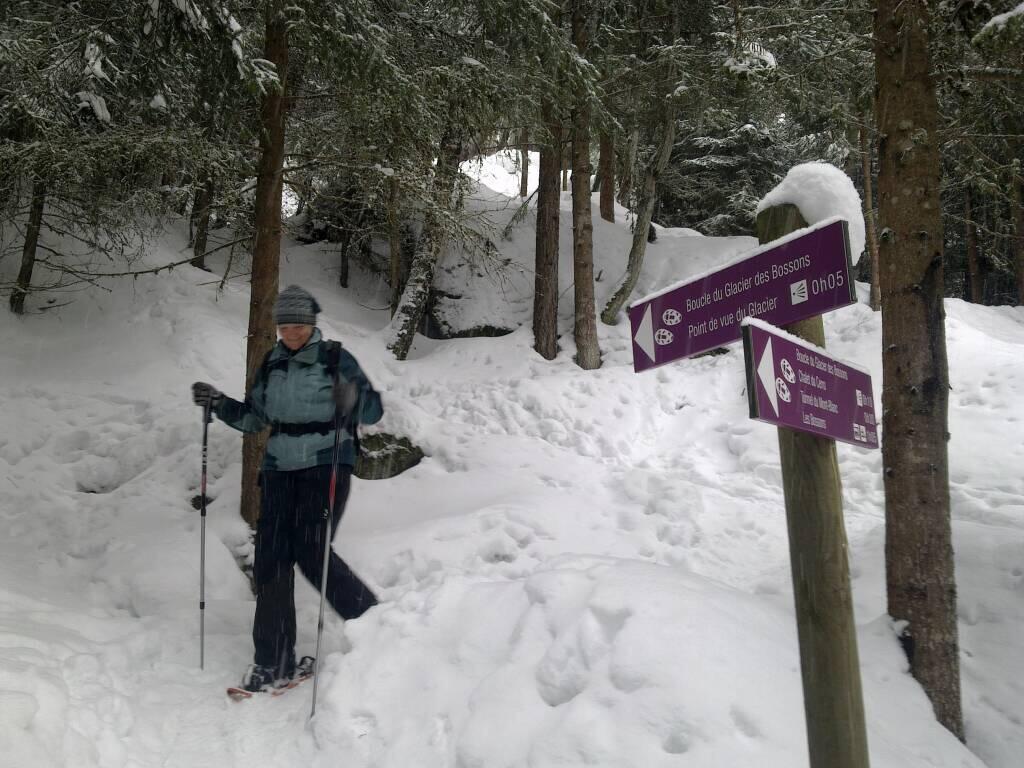 Snowshoeing route of Glacier des Bossons ChamonixMontBlanc Snowshoe