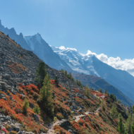 vue montagne en automne 