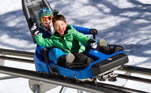 Luge Alpine Coaster de Chamonix Chamonix Mont Blanc Theme parks